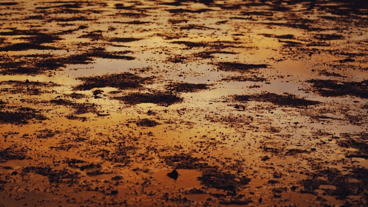 A serene close-up of a muddy puddle reflecting vibrant golden sunset hues, illustrating best spin down sediment filter