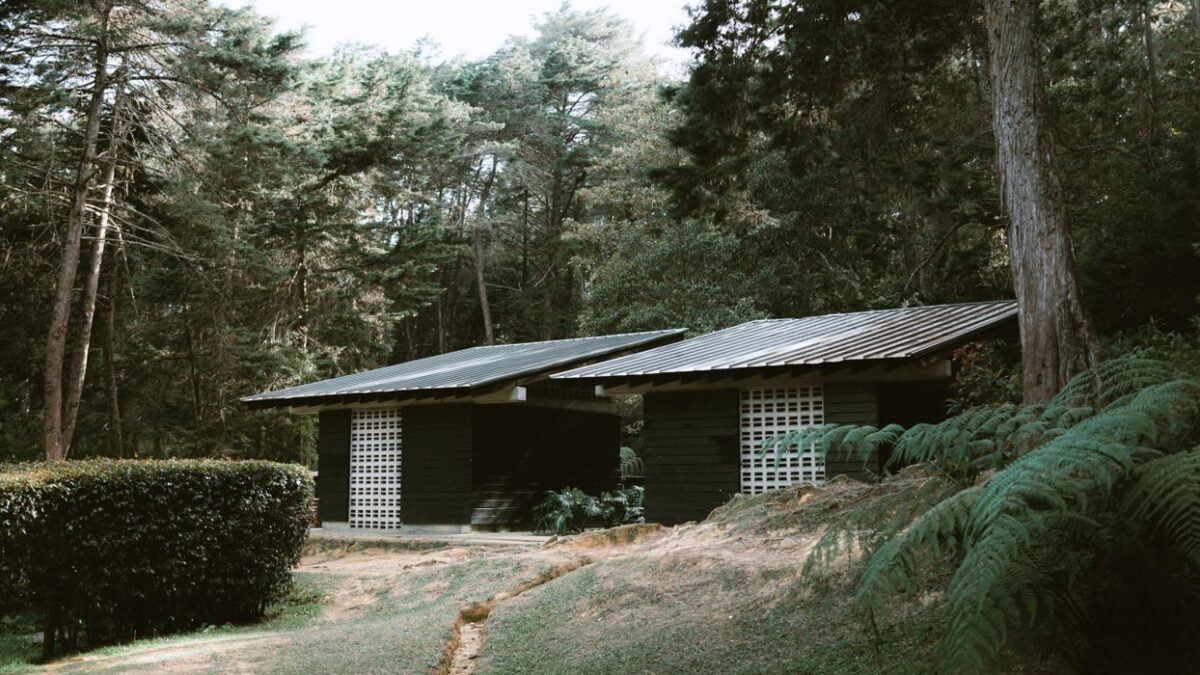 Scenic view of wooden cabins nestled in a lush Rionegro forest, illustrating best water softener for cabin