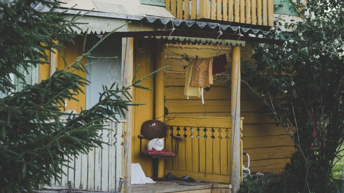 Rustic wooden house exterior with a cat on a chair, surrounded by nature in Izhevsk, Russia, illustrating best water softener for small house