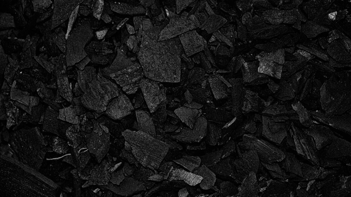 Detailed view of black charcoal pieces arranged in a pile for grilling or art use, illustrating best whole house carbon filter