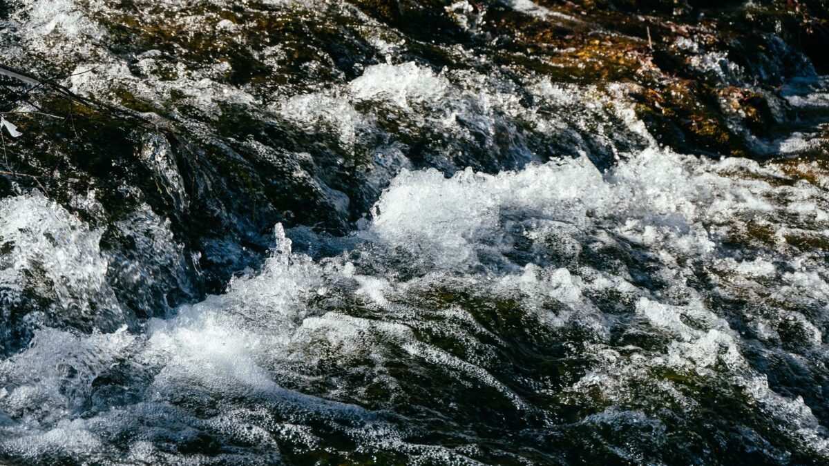 Close-up of a dynamic stream with clear water rushing over rocks, illustrating halo vs springwell